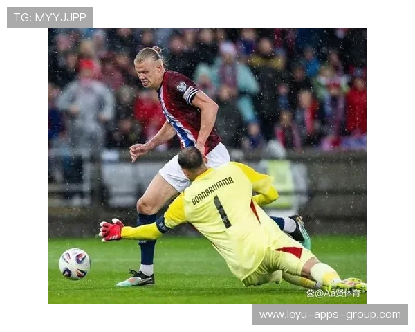 世界杯哈兰德禁区内力量型射门炸裂球网入网